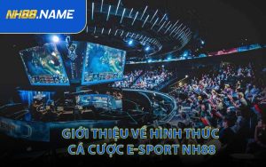 Giới Thiệu Về Hình Thức Cá Cược E-sport NH88